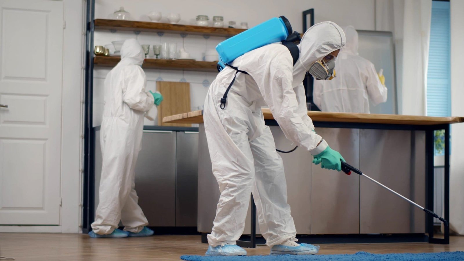 Pest Control home services